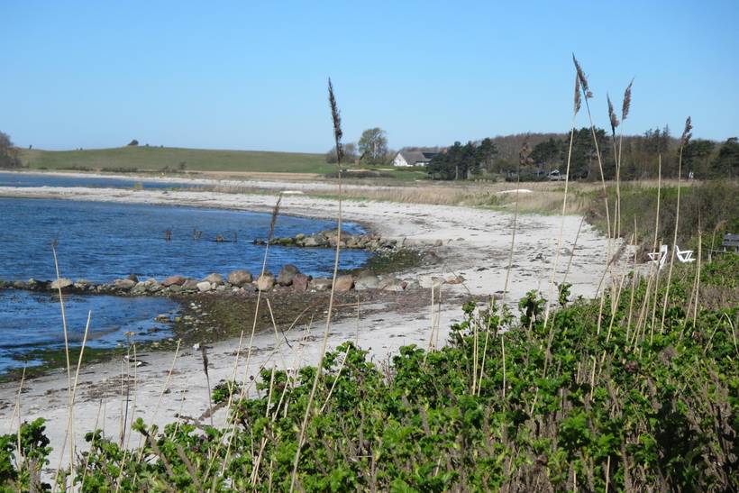Foto von Ferienhaus PL29 in Mols - Ostjütland