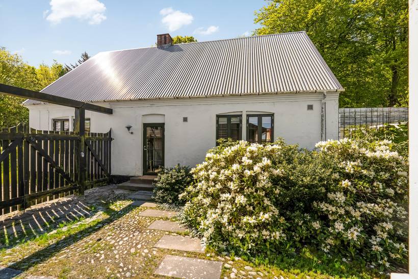 Foto von Ferienhaus PL37 in Trend - Thy/Limfjord