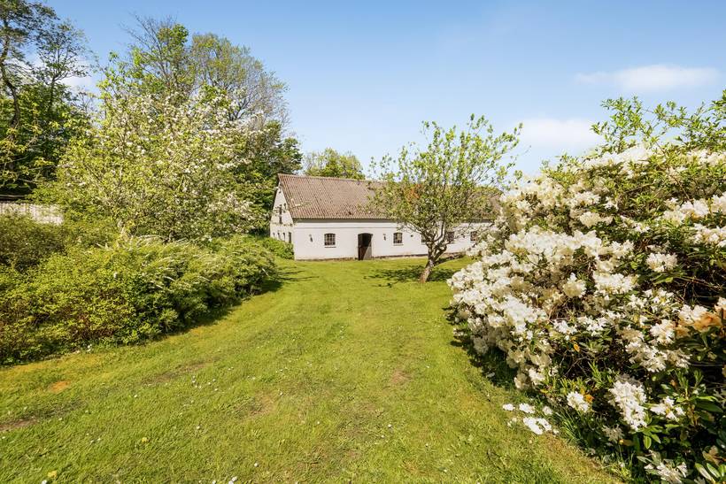 Foto von Ferienhaus PL37 in Trend - Thy/Limfjord