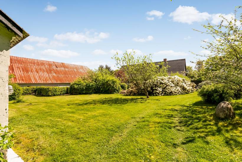 Foto von Ferienhaus PL37 in Trend - Thy/Limfjord