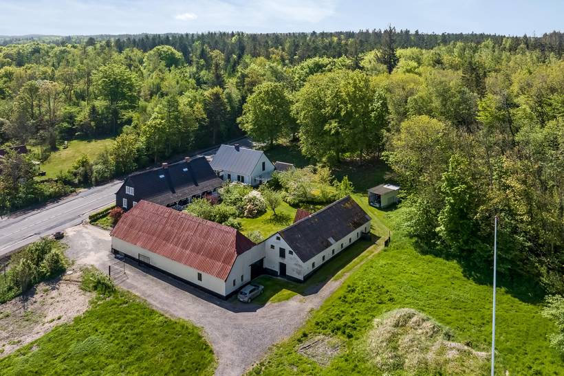 Foto von Ferienhaus PL37 in Trend - Thy/Limfjord