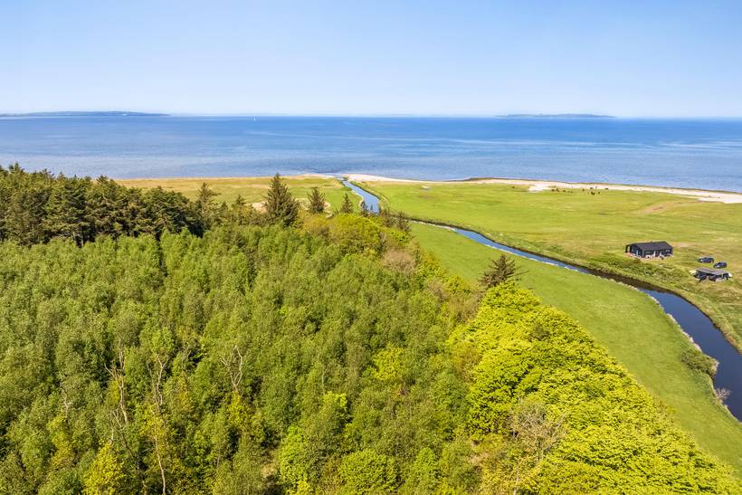 Foto von Ferienhaus PL37 in Trend - Thy/Limfjord