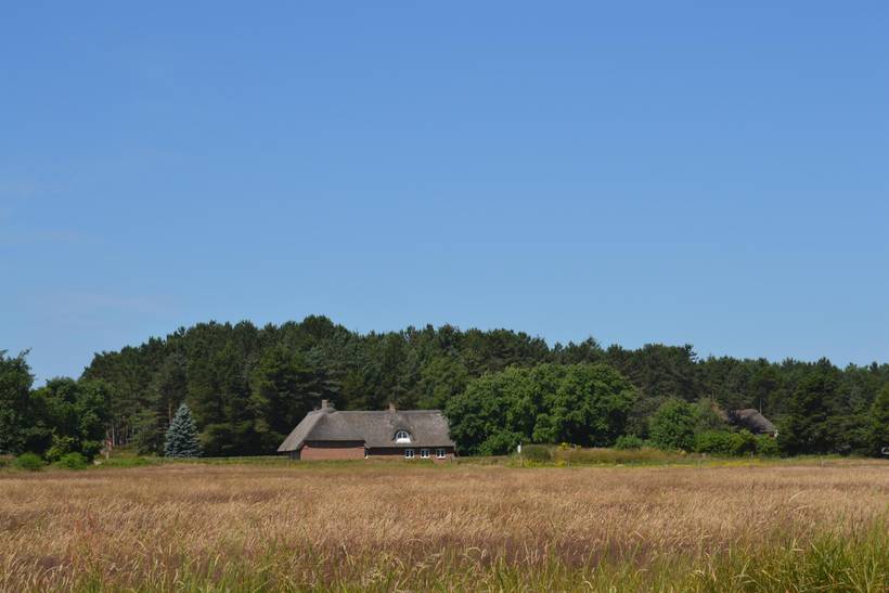 Foto von Ferienhaus PM36 in Sønderstrand - Rømø