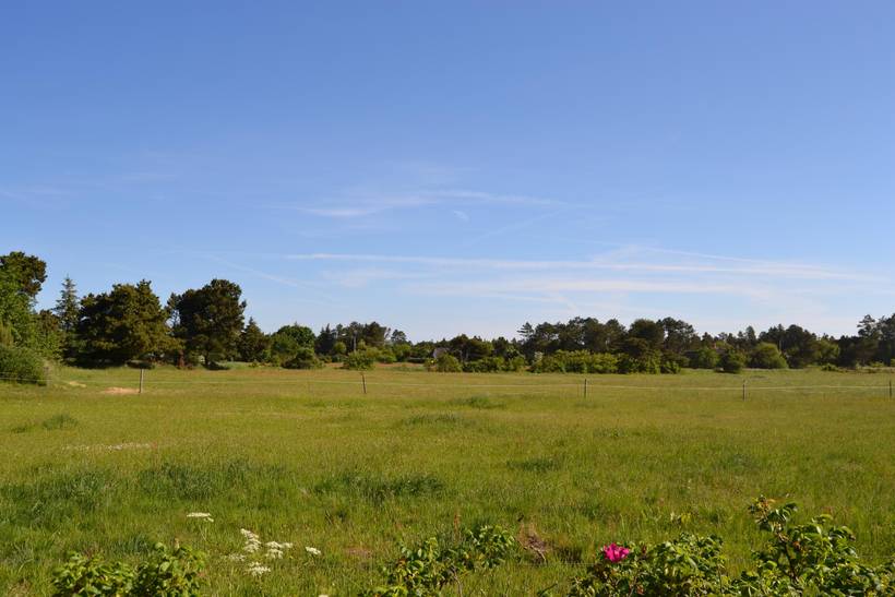 Foto von Ferienhaus PM36 in Sønderstrand - Rømø