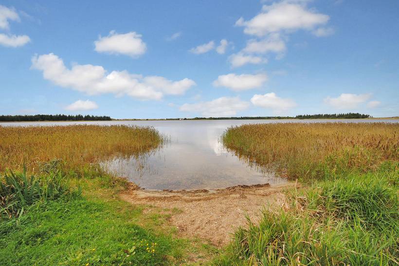 Foto von Ferienhaus PN09 in Vorupør - Thy/Limfjord