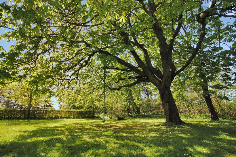 Foto von Ferienhaus PN09 in Vorupør - Thy/Limfjord