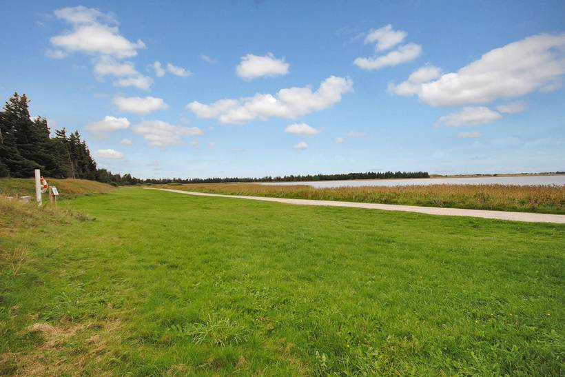Foto von Ferienhaus PN09 in Vorupør - Thy/Limfjord