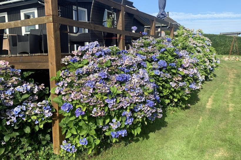 Foto von Ferienhaus PN18 in Hejlsminde - Südjütland