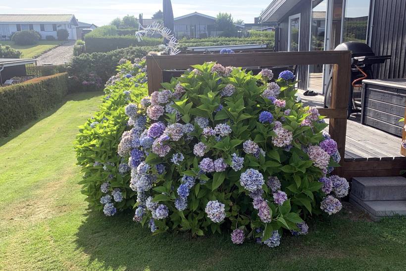 Foto von Ferienhaus PN18 in Hejlsminde - Südjütland