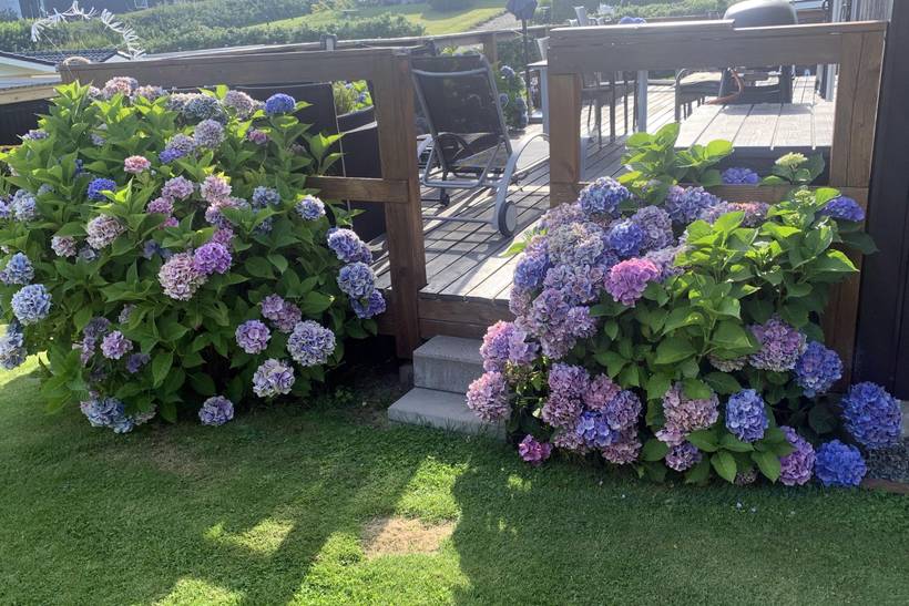 Foto von Ferienhaus PN18 in Hejlsminde - Südjütland