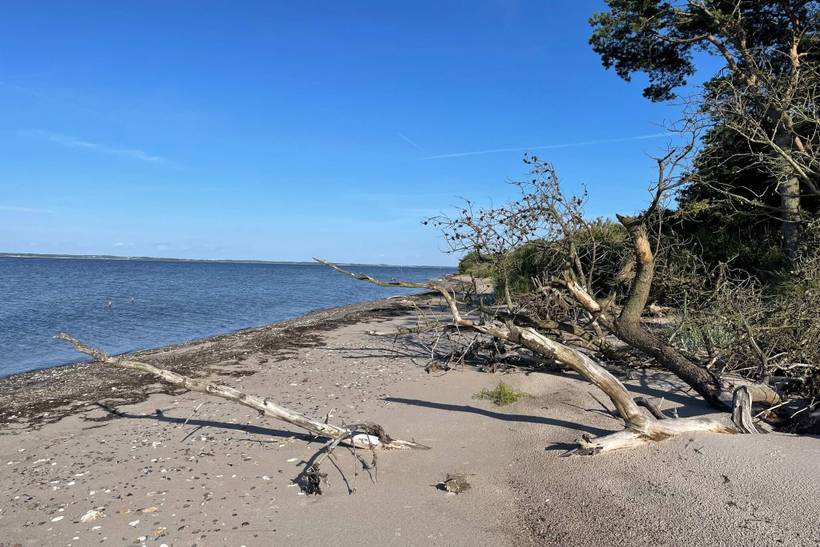 Foto von Ferienhaus PN70 in Eskov Strandpark - Thy/Limfjord