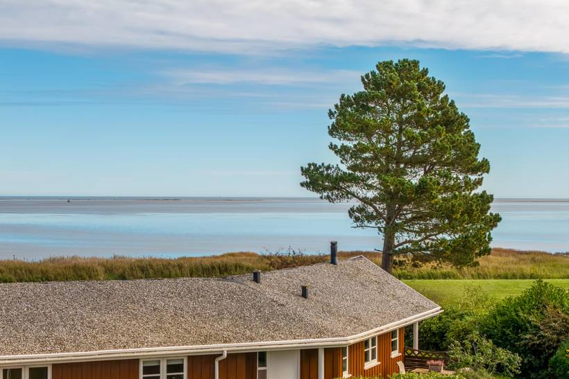 Foto von Ferienhaus PN92 in Egense - Nordjütland Ost
