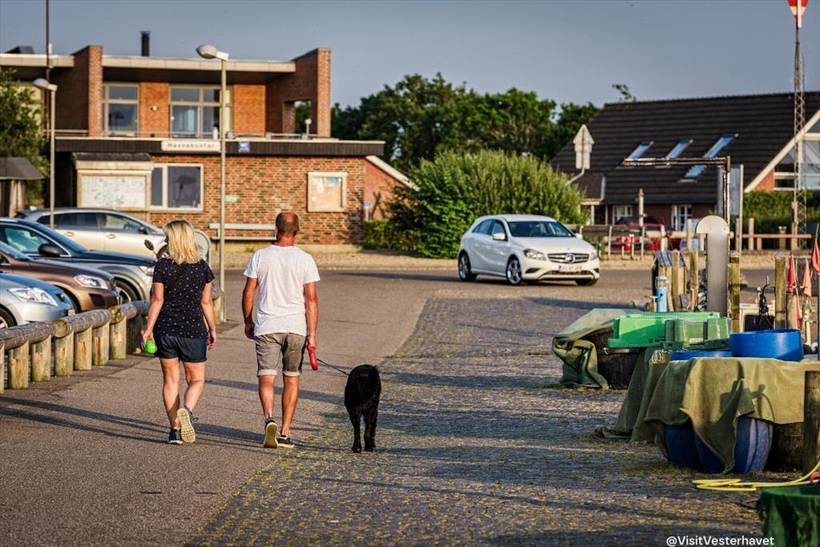 Foto von Ferienhaus PO00 in Bork Havn - Westjütland