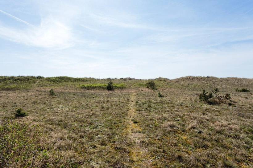 Foto von Ferienhaus PO35 in Ristinge - Langeland
