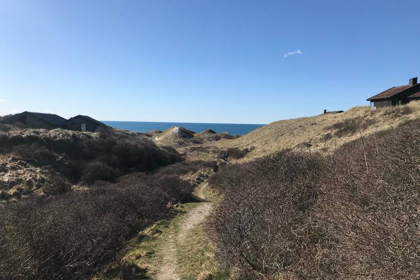 Foto von Ferienhaus PO95 in Tornby - Nordjütland