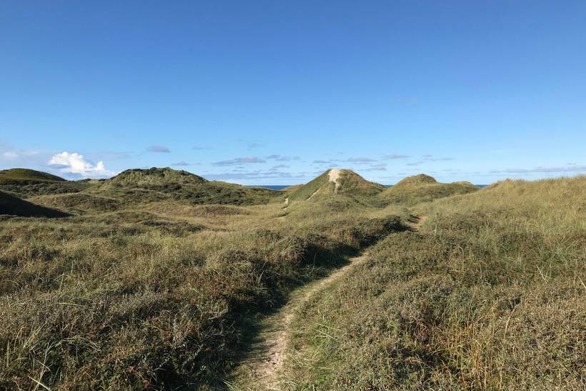 Foto von Ferienhaus PO95 in Tornby - Nordjütland