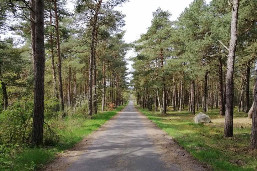 Foto von Ferienhaus PP13 in Hasle - Bornholm
