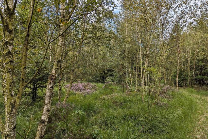 Foto von Ferienhaus PP27 in Arrild - Südjütland