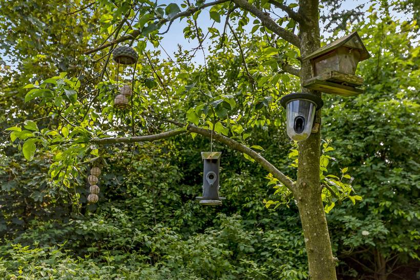 Foto von Ferienhaus PP35 in Arrild - Südjütland