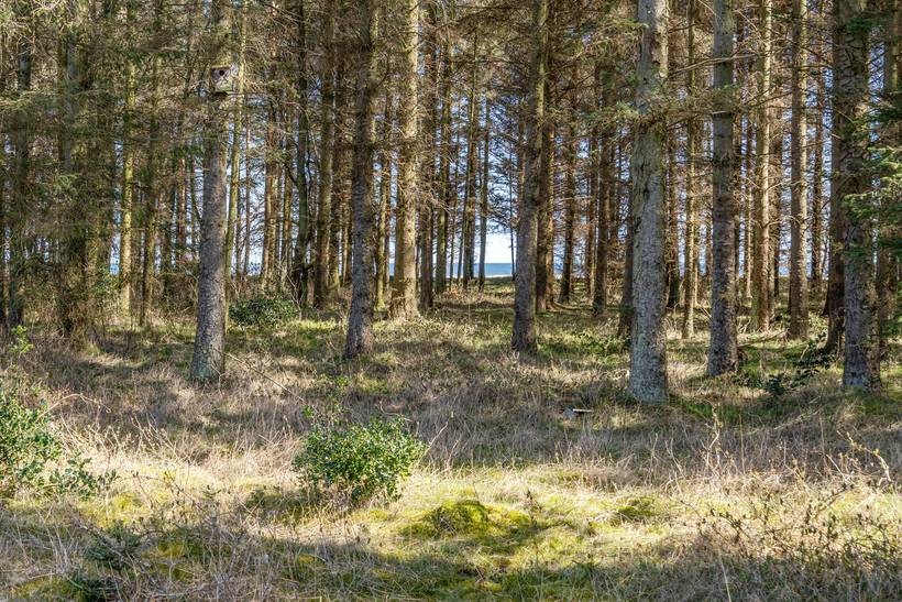 Foto von Ferienhaus PP47 in Bisnap - Hou - Nordjütland Ost