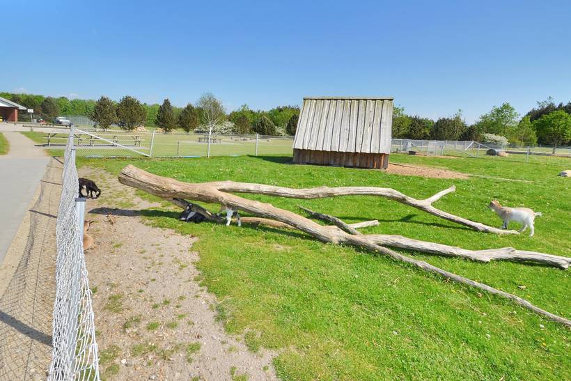 Foto von Ferienhaus PP84 in Jegum - Westjütland