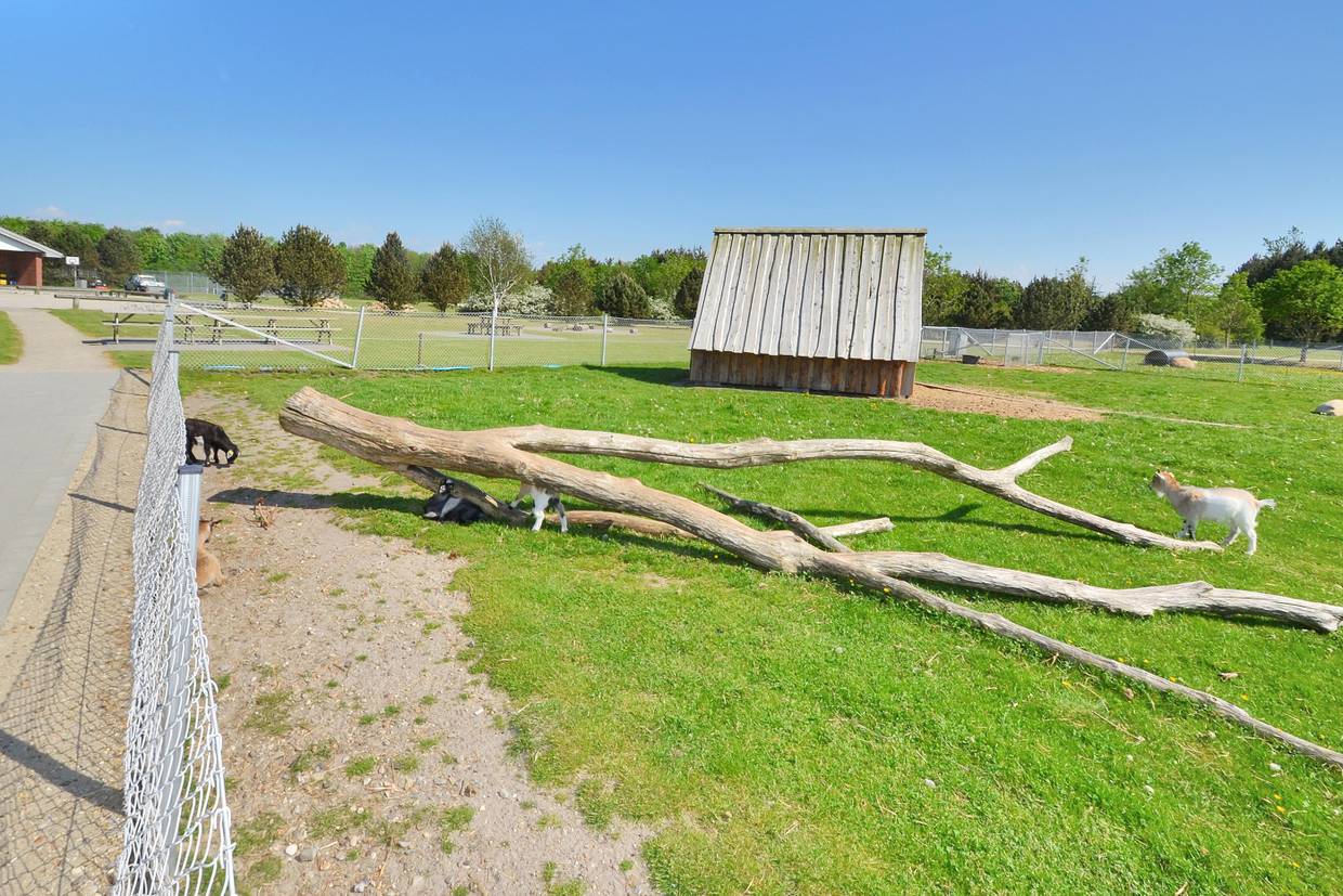 Foto von Ferienhaus PP84 in Jegum - Westjütland
