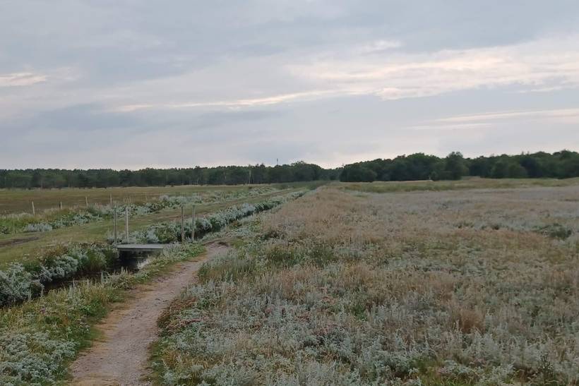 Foto von Ferienhaus PP94 in Øster Hurup - Nordjütland Ost