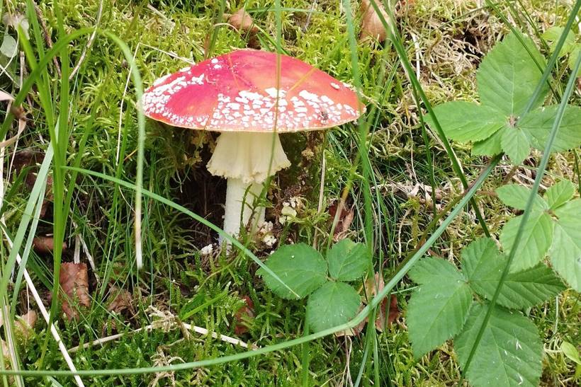 Foto von Ferienhaus PP94 in Øster Hurup - Nordjütland Ost