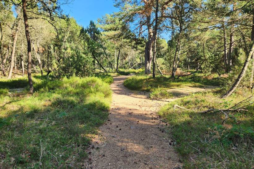 Foto von Ferienhaus PP94 in Øster Hurup - Nordjütland Ost