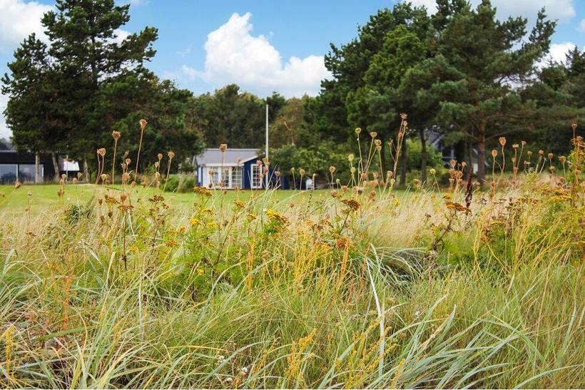 Foto von Ferienhaus PQ02 in Søndbjerg - Thy/Limfjord
