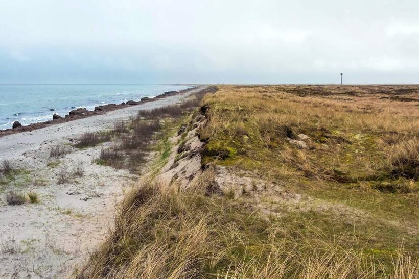 Foto von Ferienhaus PQ07 in Nordmarken - Læsø
