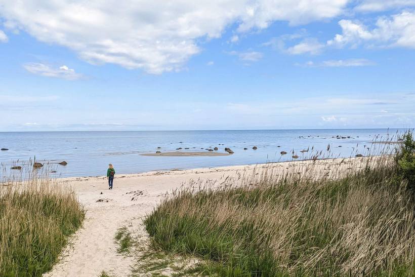 Foto von Ferienhaus PQ07 in Nordmarken - Læsø
