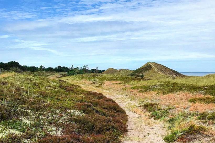 Foto von Ferienhaus PQ07 in Nordmarken - Læsø