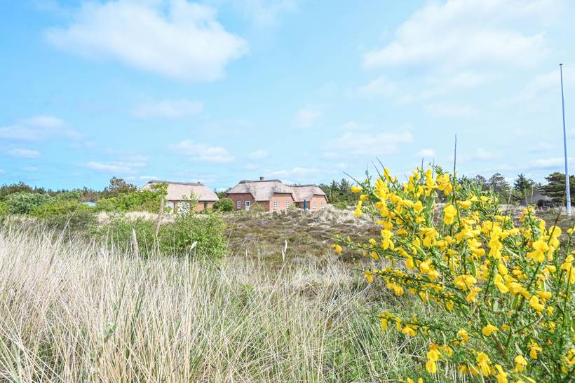 Foto von Ferienhaus PQ13 in Vester Husby - Westjütland