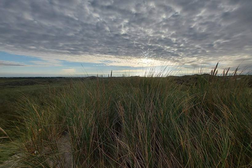 Foto von Ferienhaus PQ20 in Hvide Sande - Westjütland