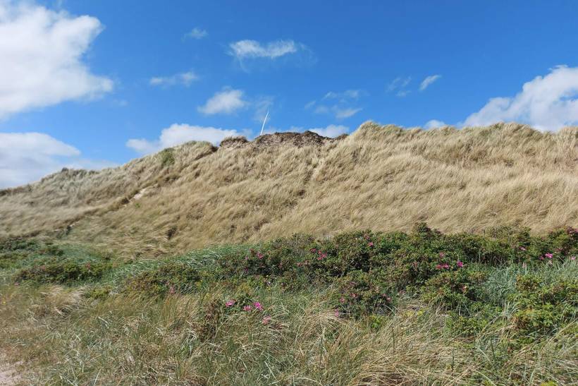 Foto von Ferienhaus PQ20 in Hvide Sande - Westjütland