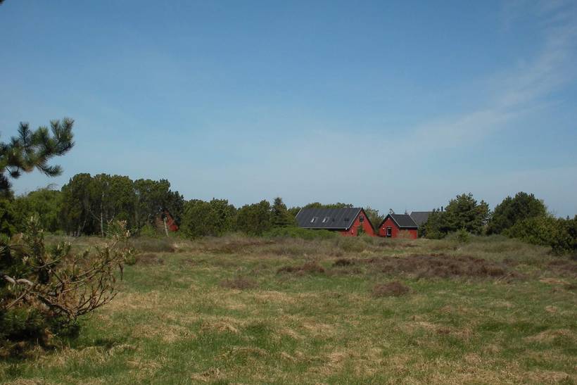 Foto von Ferienhaus PQ86 in Kandestederne - Skagen - Nordjütland
