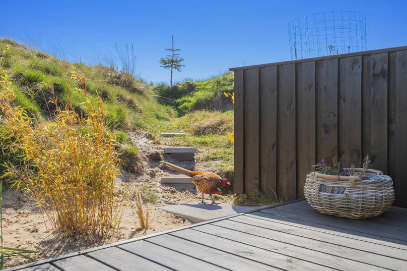 Foto von Ferienhaus PR28 in Fanø Bad - Fanø
