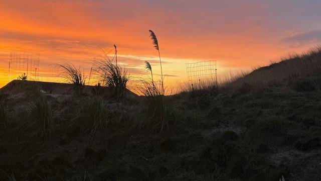 Foto von Ferienhaus PR28 in Fanø Bad - Fanø