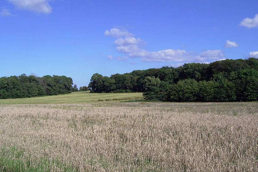 Foto von Ferienhaus PR35 auf Gudhjem - Bornholm