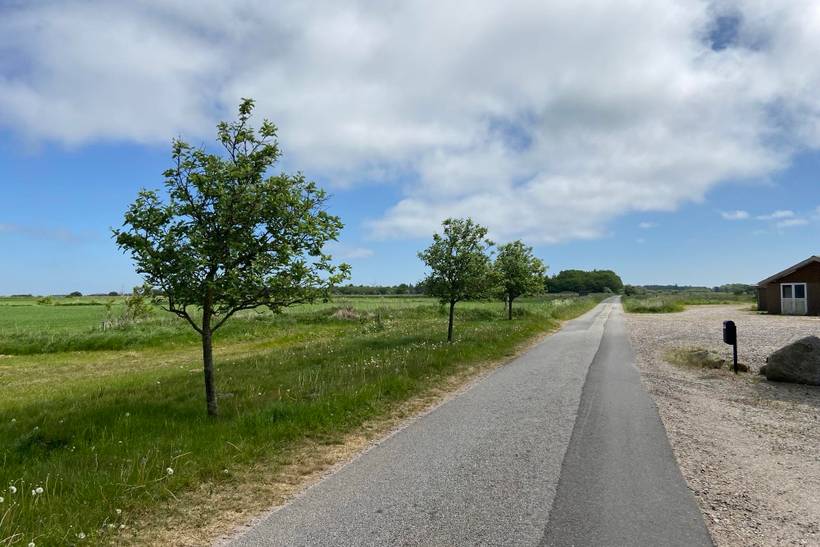Foto von Ferienhaus PR71 in Skærbæk - Südjütland