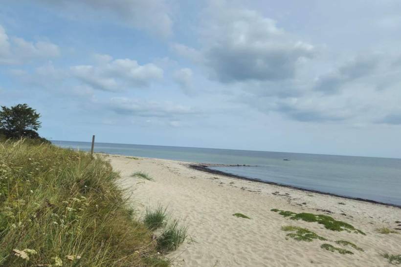 Foto von Ferienhaus PR87 in Marielyst - Falster