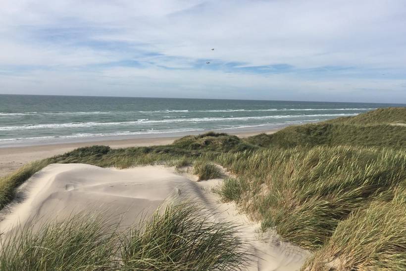 Foto von Ferienhaus PR95 in Fårup Skov - Blokhus - Nordjütland