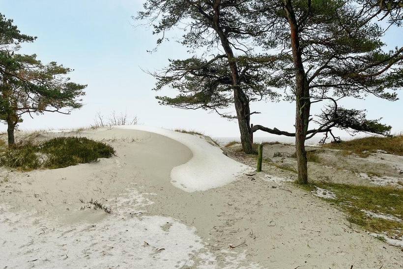 Foto von Ferienhaus PS60 in Dueodde - Bornholm