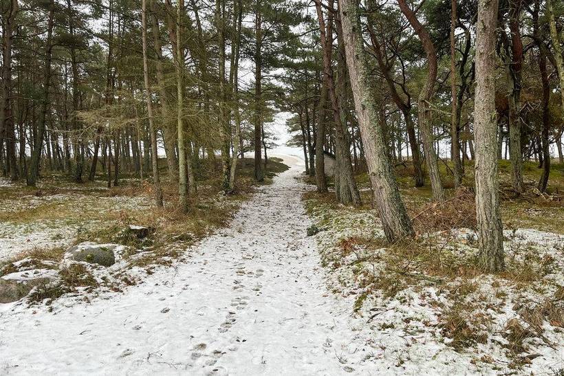 Foto von Ferienhaus PS60 in Dueodde - Bornholm