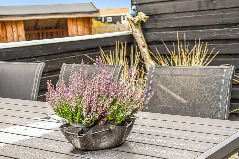 Foto von Ferienhaus PT01 in Vejlby Klit - Westjütland