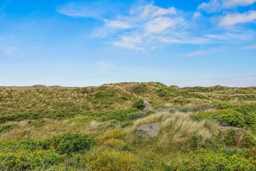 Foto von Ferienhaus PT07 in Grærup - Vejers Strand - Westjütland