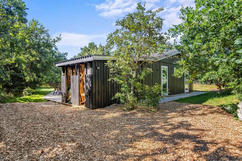 Foto von Ferienhaus PT20 in Houstrup - Westjütland