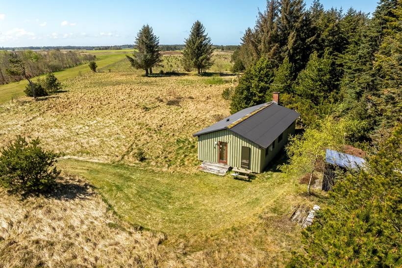 Foto von Ferienhaus PT70 in Lild - Thy/Limfjord