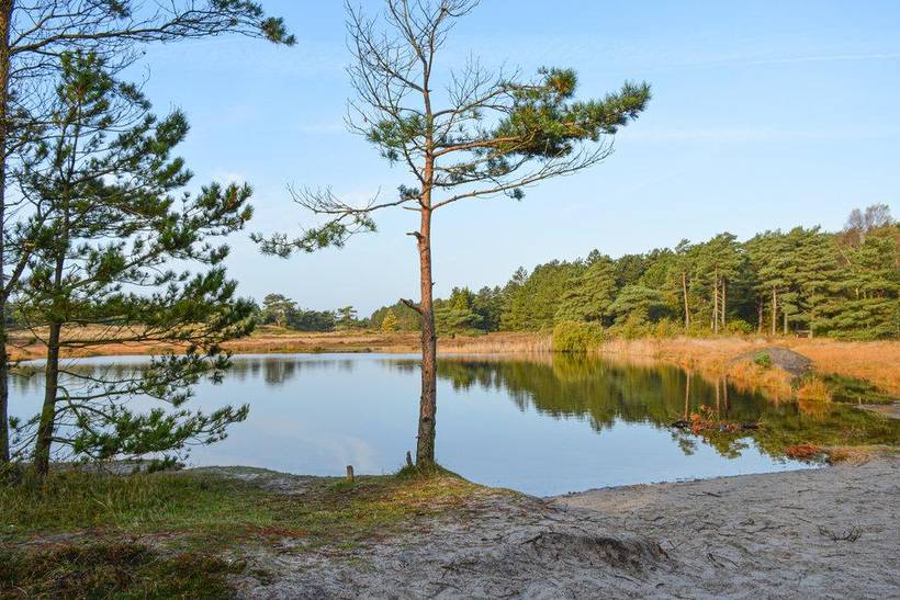 Foto von Ferienhaus PV02 in Kongsmark - Rømø